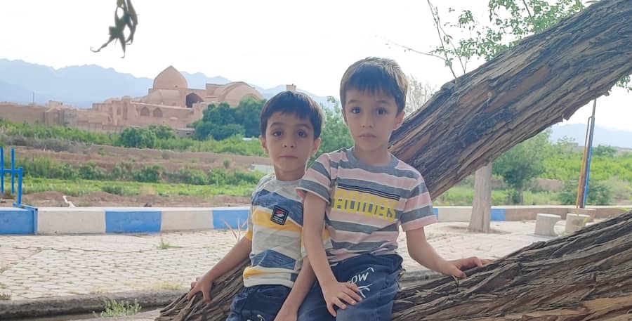 میرابوطالبی زواره